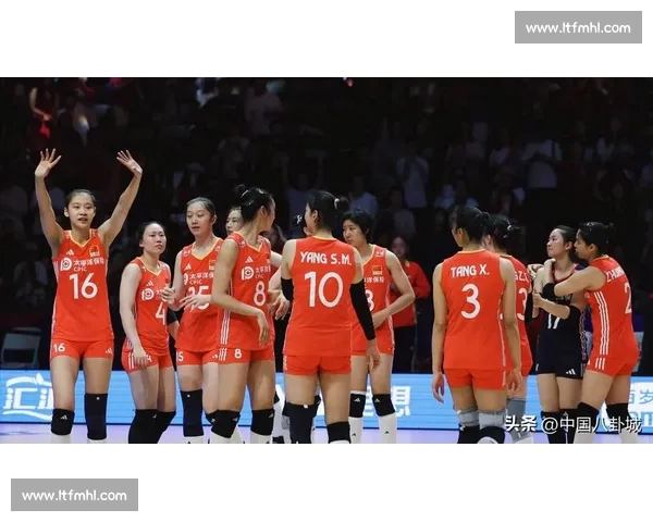 排球的浪漫与残酷,专访讲述一段刻骨铭心的球员情缘